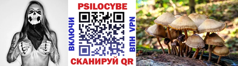 darknet формула  Чапаевск  Галлюциногенные грибы мицелий 