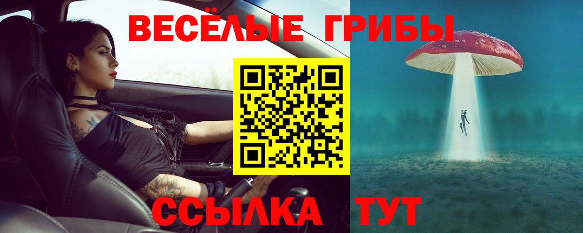 Псилоцибиновые грибы мицелий  купить  цена  Чапаевск 