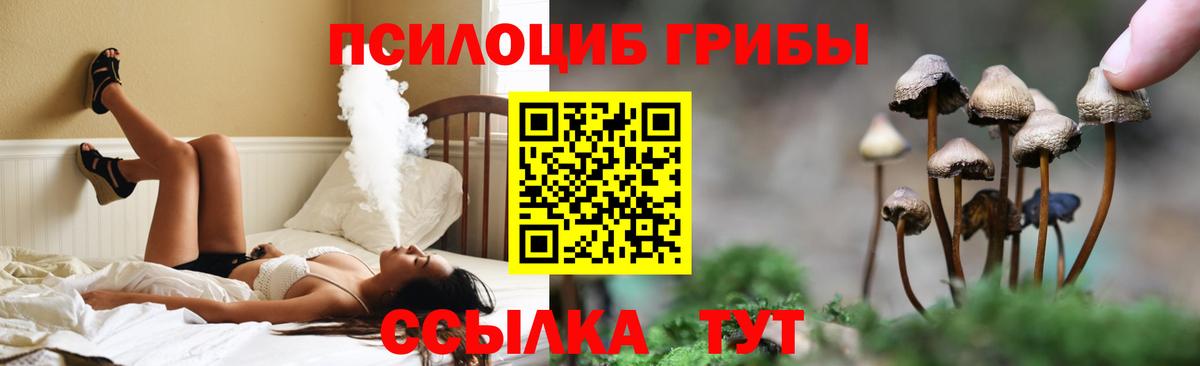 Чапаевск  Галлюциногенные грибы Cubensis  Вход с VPN 