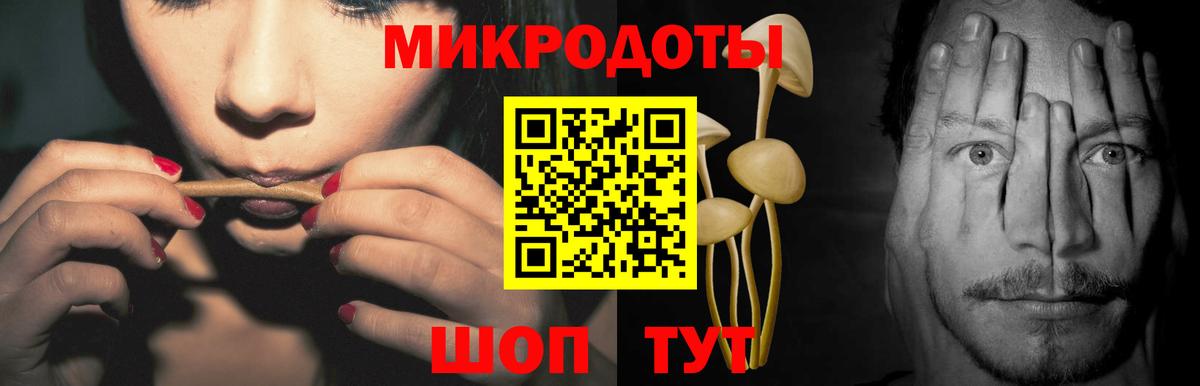 Псилоцибиновые грибы мицелий Чапаевск